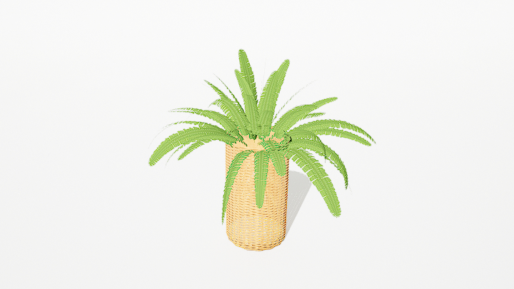 渲染模型_绿植094