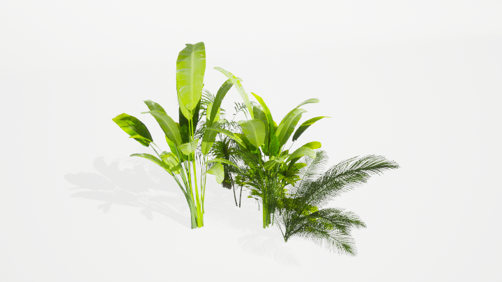 渲染模型_绿植099