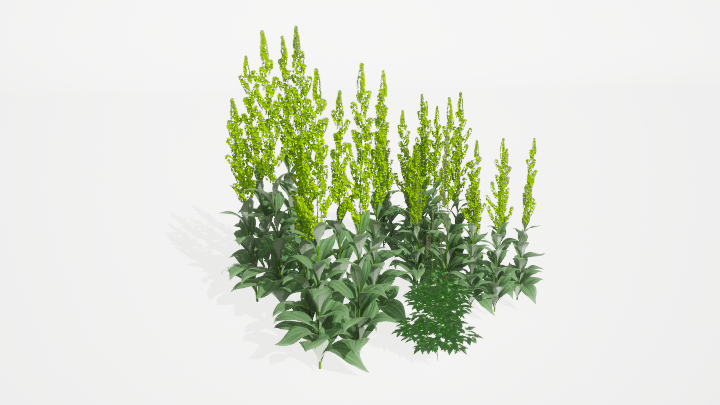 渲染模型_绿植105