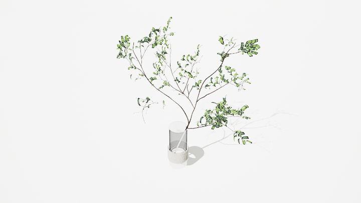 渲染模型_绿植110