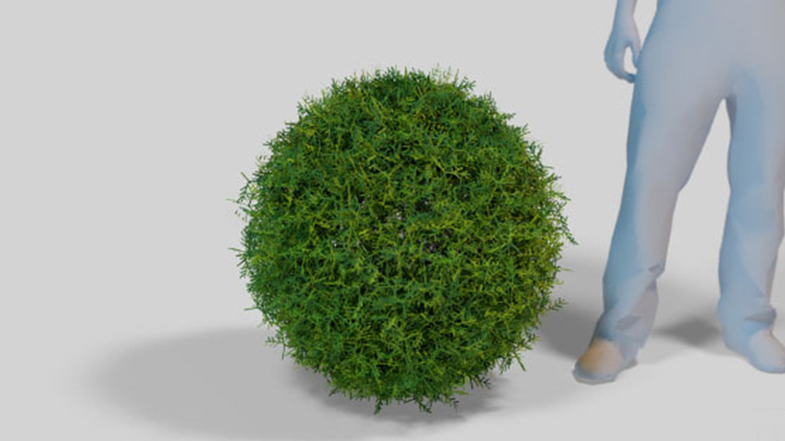 渲染模型_绿植球001