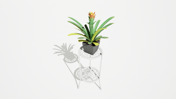 渲染模型_绿植盆栽026