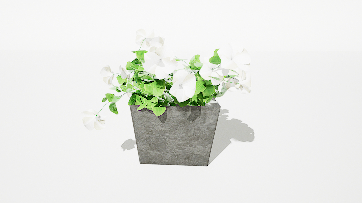 渲染模型_绿植盆栽033