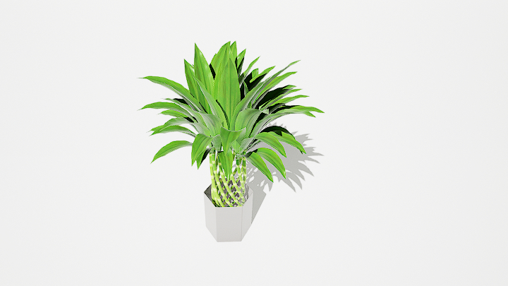 渲染模型_绿植盆栽035