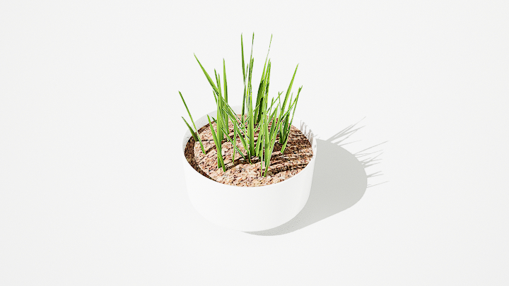 渲染模型_绿植盆栽063