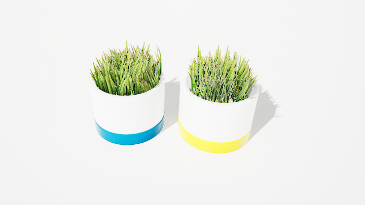 渲染模型_绿植盆栽076