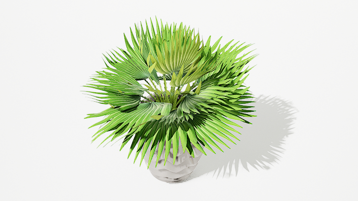 渲染模型_绿植盆栽077