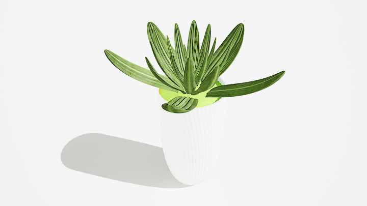 渲染模型_绿植盆栽090