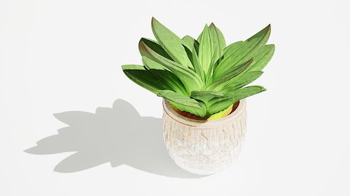 渲染模型_绿植盆栽091