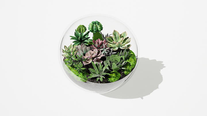 渲染模型_绿植盆栽110