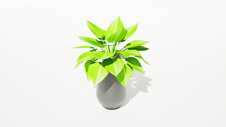 渲染模型_绿植盆栽114