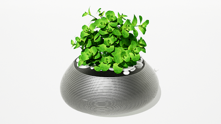 渲染模型_绿植盆栽116