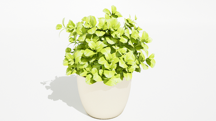 渲染模型_绿植盆栽121