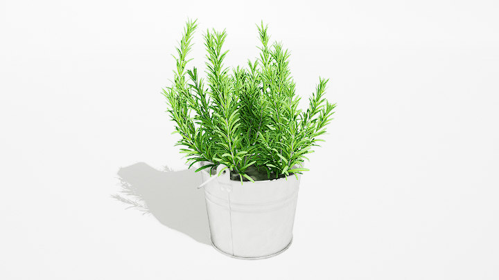 渲染模型_绿植盆栽134