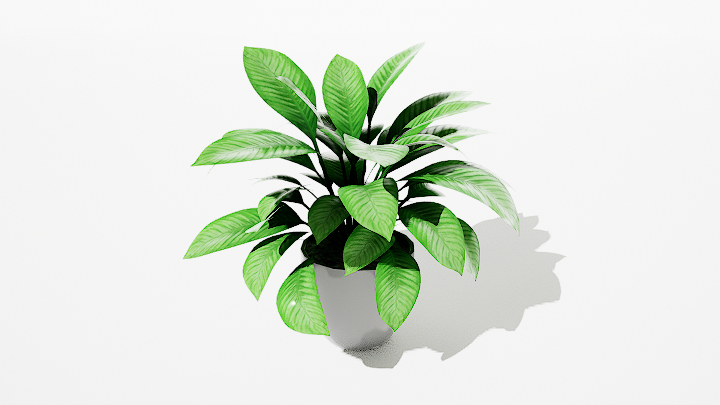 渲染模型_绿植盆栽153