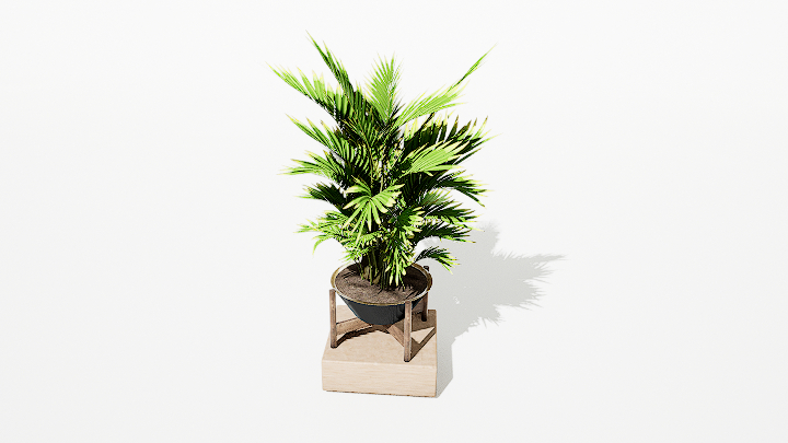 渲染模型_绿植盆栽159