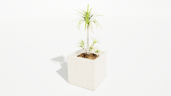 渲染模型_绿植盆栽169