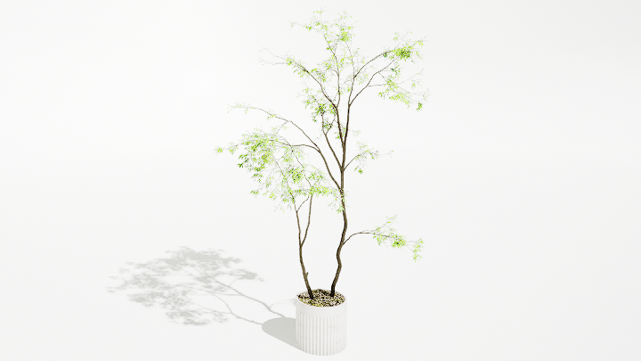 渲染模型_绿植盆栽187