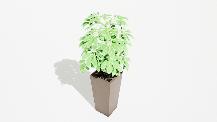 渲染模型_绿植盆栽195