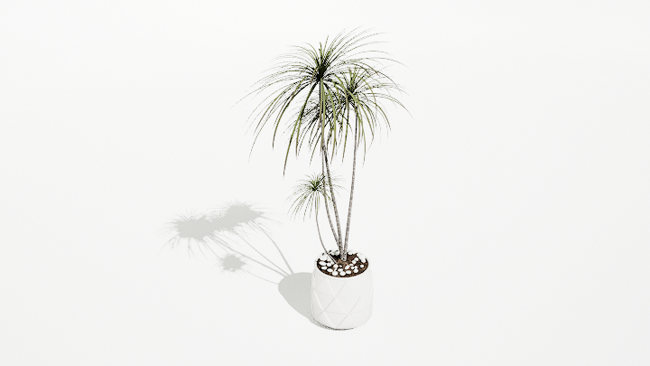 渲染模型_绿植盆栽197