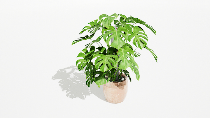 渲染模型_绿植盆栽199