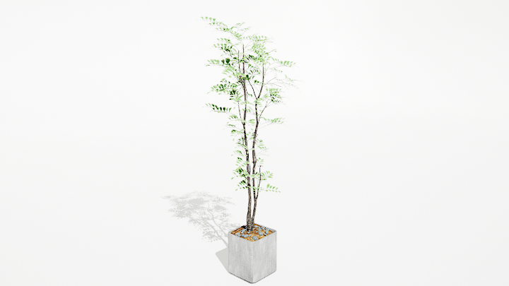 渲染模型_绿植盆栽201