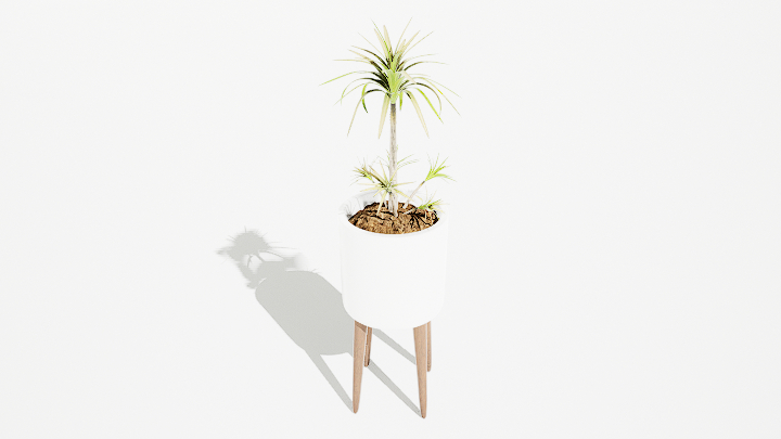 渲染模型_绿植盆栽206