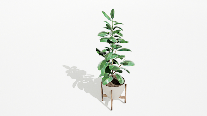 渲染模型_绿植盆栽213