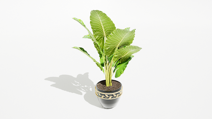 渲染模型_绿植盆栽215