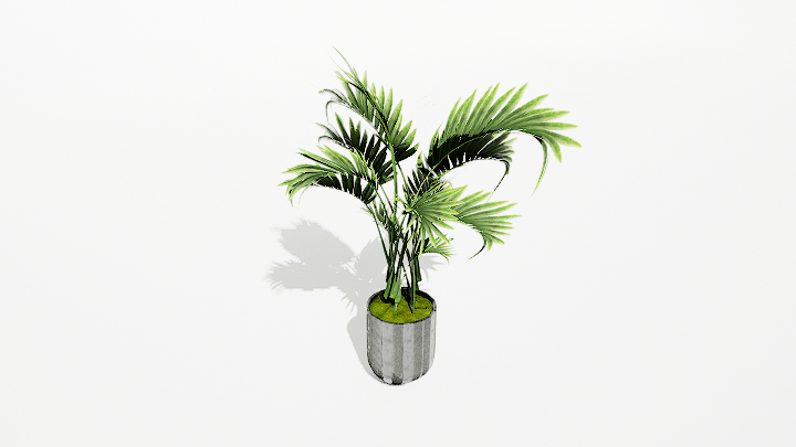 渲染模型_绿植盆栽217