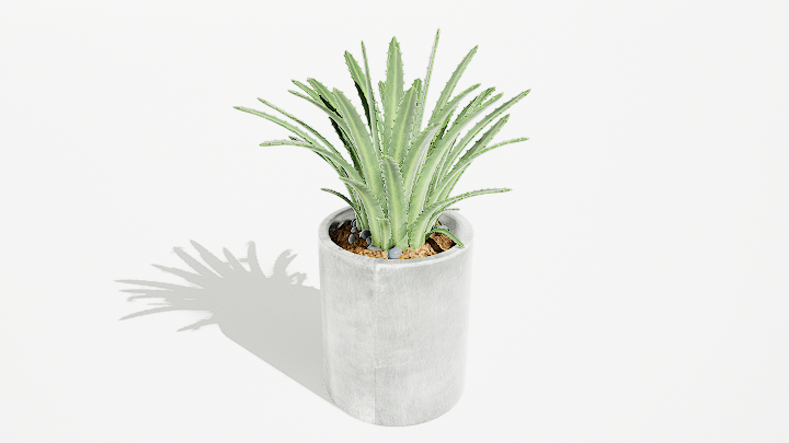 渲染模型_绿植盆栽222