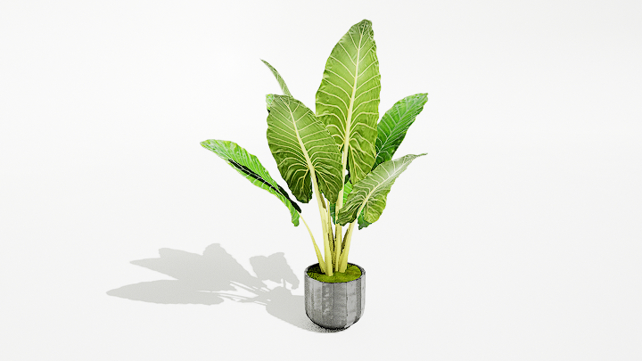 渲染模型_绿植盆栽241