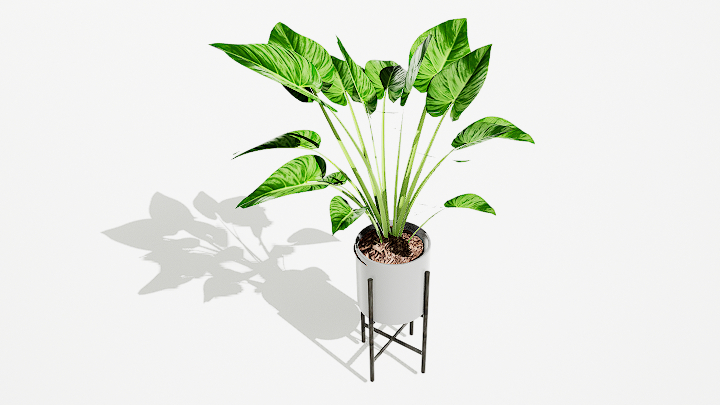 渲染模型_绿植盆栽243