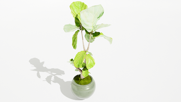 渲染模型_绿植盆栽247