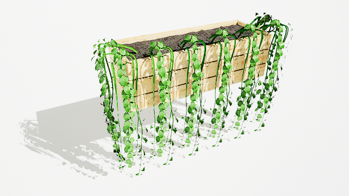 渲染模型_绿植盆栽251