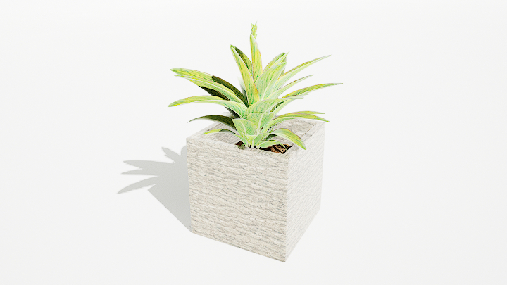 渲染模型_绿植盆栽253
