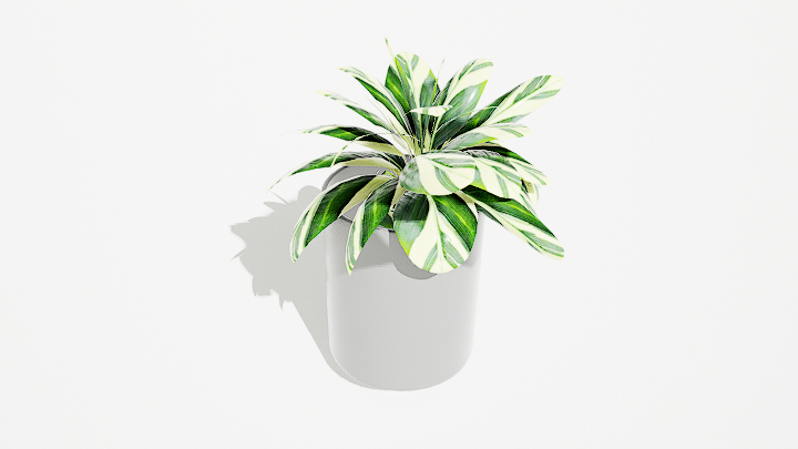 渲染模型_绿植盆栽256