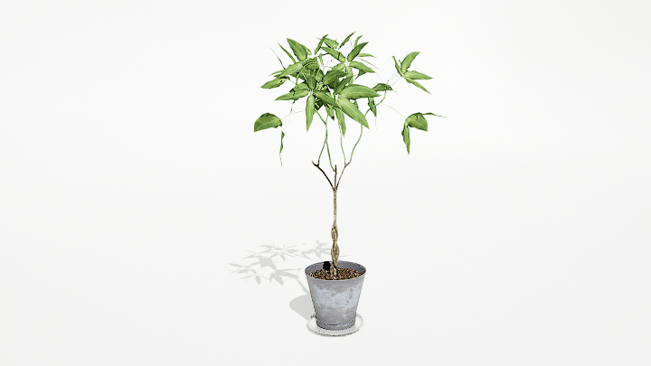 渲染模型_绿植盆栽257