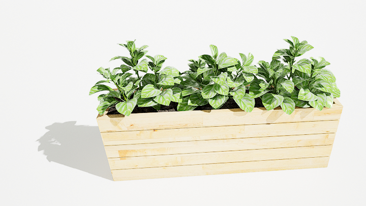 渲染模型_绿植盆栽276