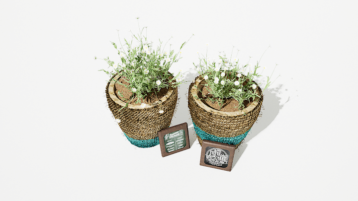 渲染模型_绿植盆栽286