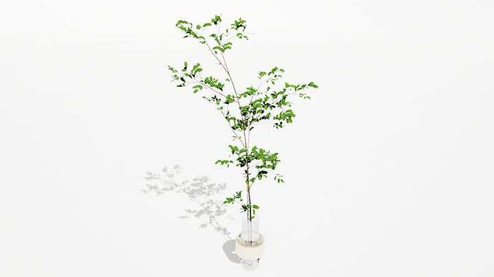 渲染模型_绿植盆栽289