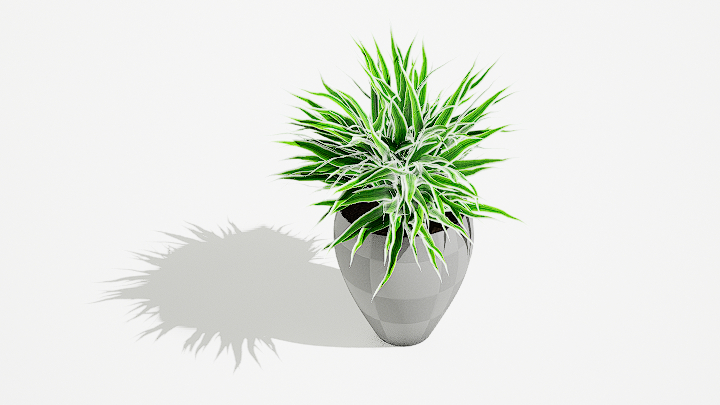 渲染模型_绿植盆栽301