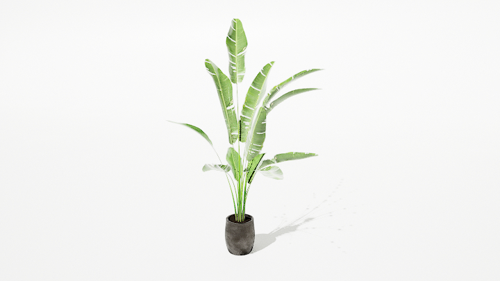 渲染模型_绿植盆栽309