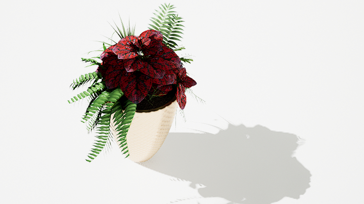 渲染模型_绿植盆栽350