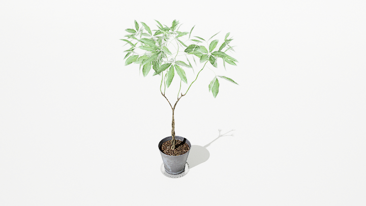 渲染模型_绿植盆栽358