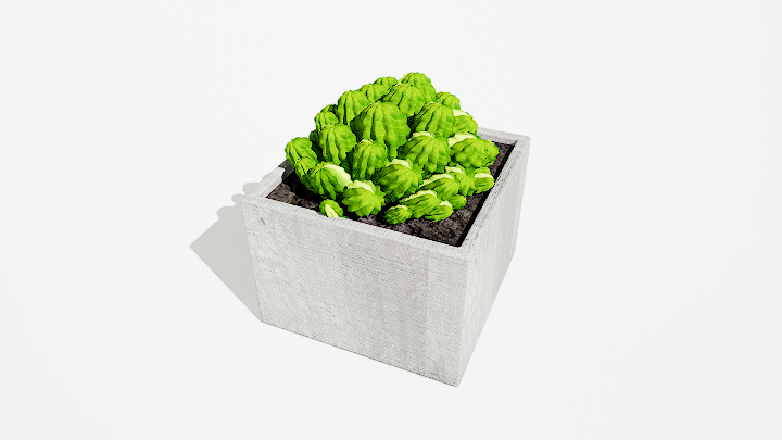 渲染模型_绿植盆栽363