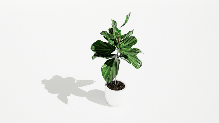 渲染模型_绿植盆栽384