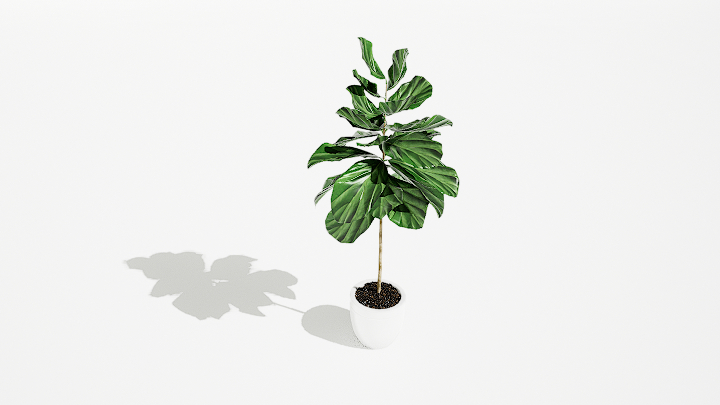 渲染模型_绿植盆栽385