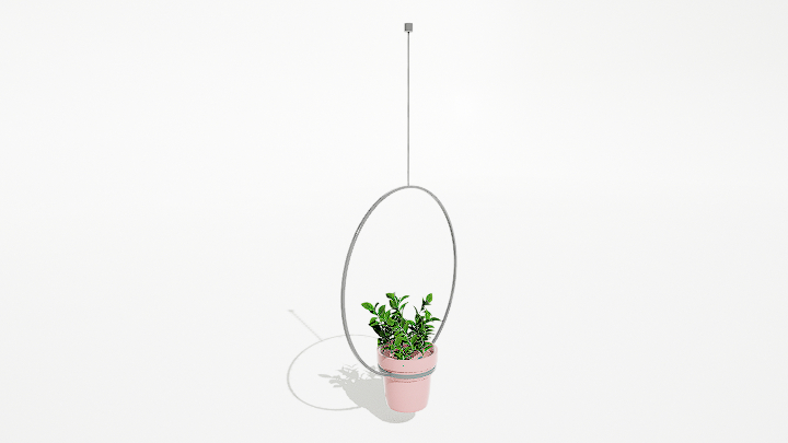 渲染模型_绿植盆栽417