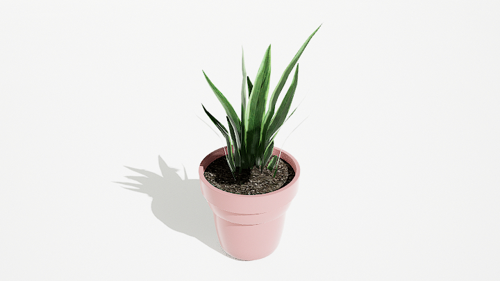 渲染模型_绿植盆栽422